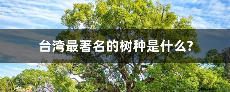 台湾最著名的树种是什么? 台湾最著名的树种是什么?