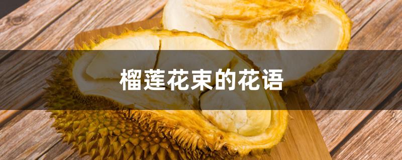 榴莲花束的花语 榴莲花束的花语