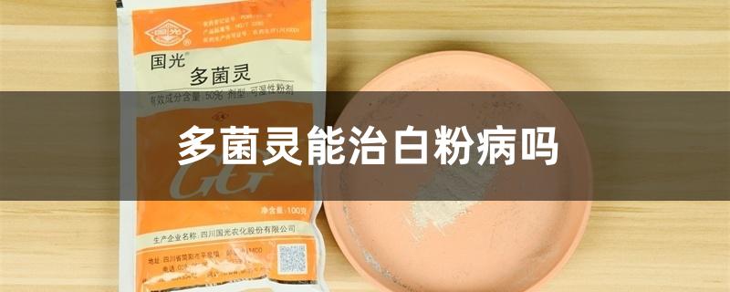 多菌灵能治白粉病吗