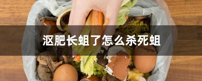 沤肥长蛆了怎么杀死蛆 沤肥长蛆了怎么杀死蛆