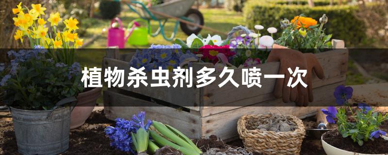 植物杀虫剂多久喷一次 植物杀虫剂多久喷一次