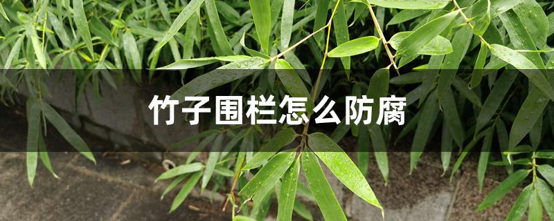 竹子围栏怎么防腐 竹子围栏怎么防腐