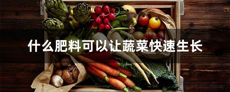 什么肥料可以让蔬菜快速生长 什么肥料可以让蔬菜快速生长