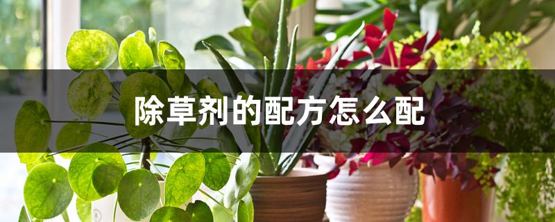 除草剂的配方怎么配