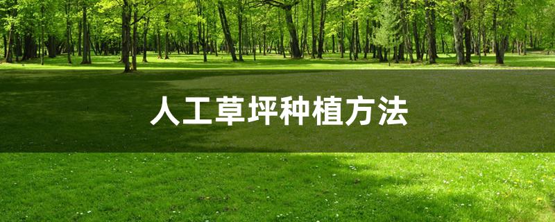 人工草坪种植方法 人工草坪种植方法
