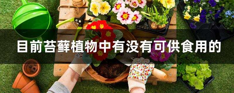 目前苔藓植物中有没有可供食用的 目前苔藓植物中有没有可供食用的
