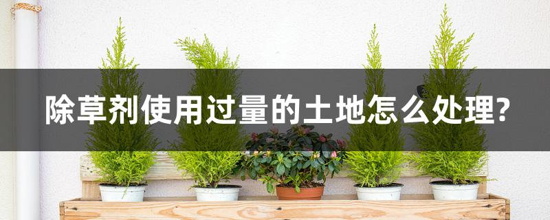 除草剂使用过量的土地怎么处理? 除草剂使用过量的土地怎么处理?