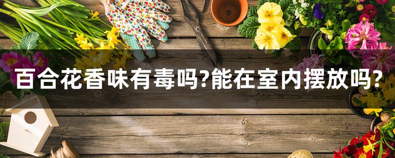 百合花香味有毒吗?能在室内摆放吗? 百合花香味有毒吗?能在室内摆放吗?