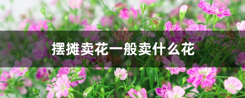摆摊卖花一般卖什么花 摆摊卖花一般卖什么花