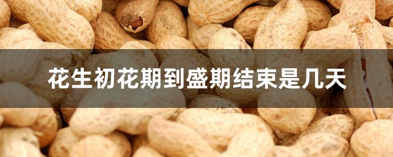 花生初花期到盛期结束是几天 花生初花期到盛期结束是几天