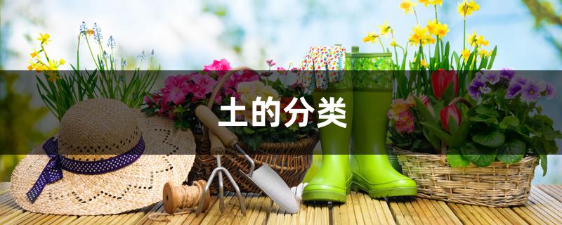 土的分类 土的分类