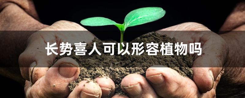 长势喜人可以形容植物吗 长势喜人可以形容植物吗