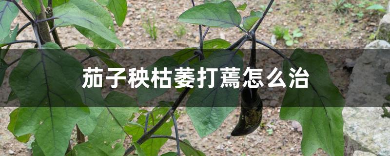 茄子秧枯萎打蔫怎么治 茄子秧枯萎打蔫怎么治