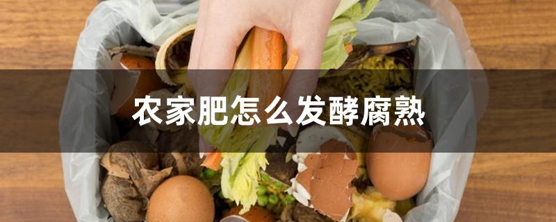 农家肥怎么发酵腐熟 农家肥怎么发酵腐熟