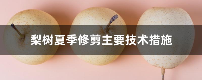 梨树夏季修剪主要技术措施 梨树夏季修剪主要技术措施