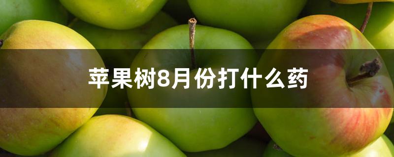 苹果树8月份打什么药 苹果树8月份打什么药