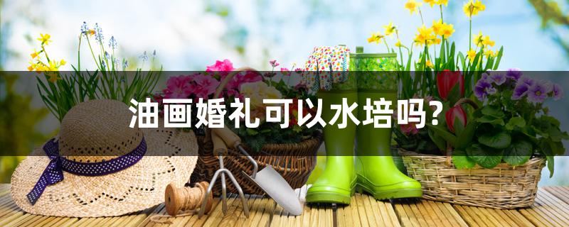 油画婚礼可以水培吗? 油画婚礼可以水培吗?