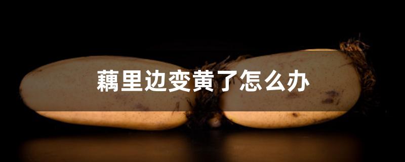 藕里边变黄了怎么办 藕里边变黄了怎么办