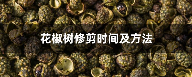 花椒树修剪时间及方法 花椒树修剪时间及方法