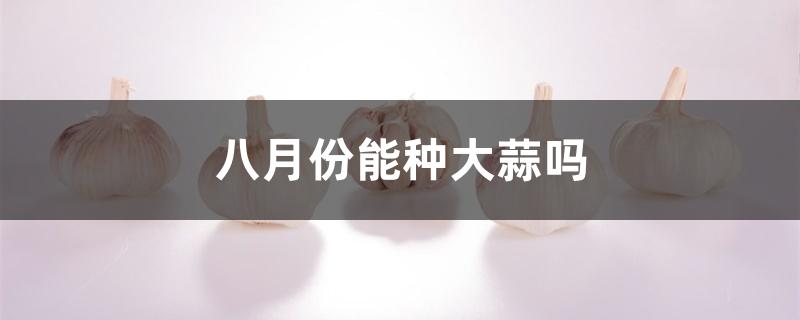八月份能种大蒜吗 八月份能种大蒜吗