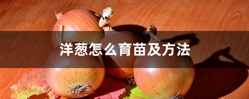 洋葱怎么育苗及方法 洋葱怎么育苗及方法