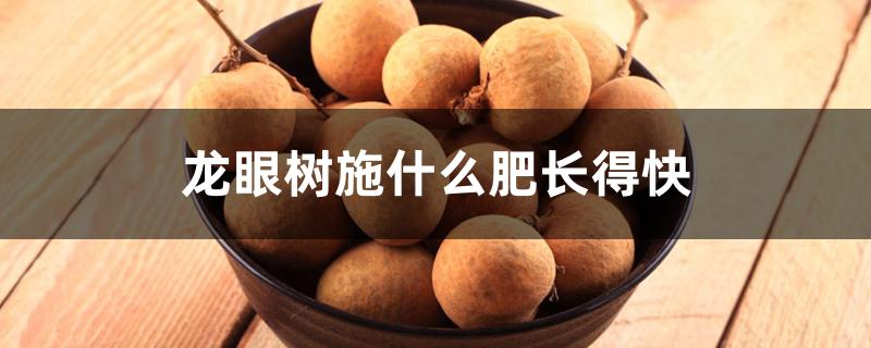 龙眼树施什么肥长得快 龙眼树施什么肥长得快
