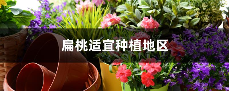 扁桃适宜种植地区 扁桃适宜种植地区