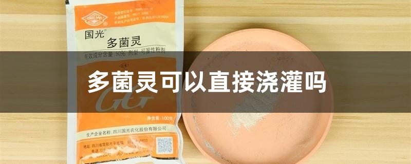 多菌灵可以直接浇灌吗 多菌灵可以直接浇灌吗