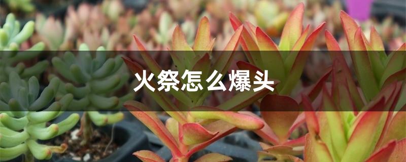 火祭怎么爆头 火祭怎么爆头