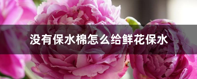 没有保水棉怎么给鲜花保水 没有保水棉怎么给鲜花保水
