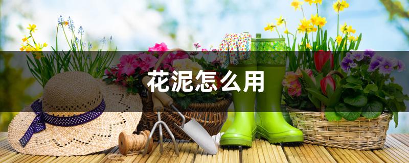 花泥怎么用 花泥怎么用