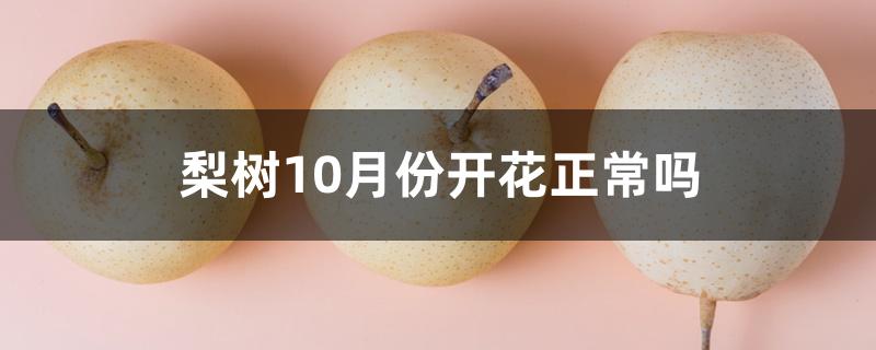 梨树10月份开花正常吗 梨树10月份开花正常吗