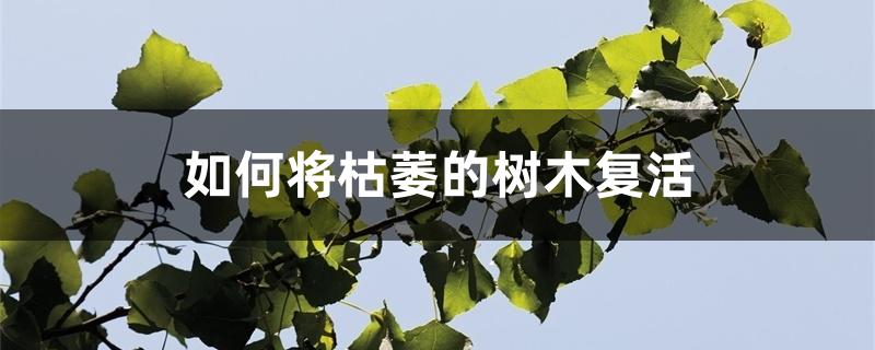 如何将枯萎的树木复活 如何将枯萎的树木复活