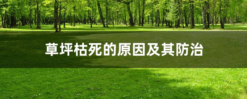 草坪枯死的原因及其防治 草坪枯死的原因及其防治
