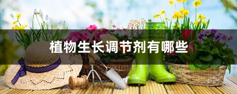 植物生长调节剂有哪些 植物生长调节剂有哪些