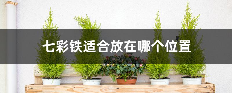 七彩铁适合放在哪个位置 七彩铁适合放在哪个位置