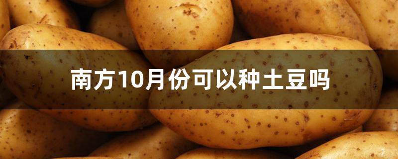 南方10月份可以种土豆吗