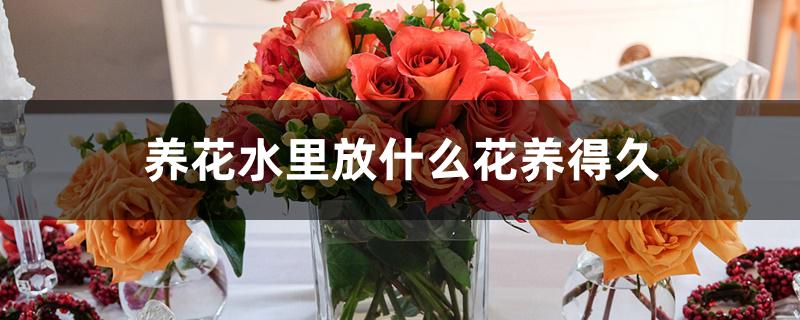 养花水里放什么花养得久 养花水里放什么花养得久