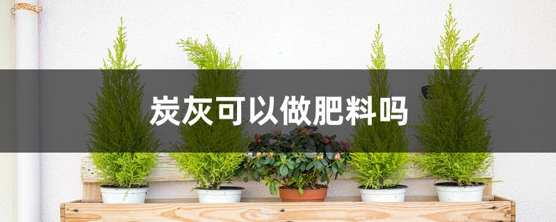 炭灰可以做肥料吗 炭灰可以做肥料吗