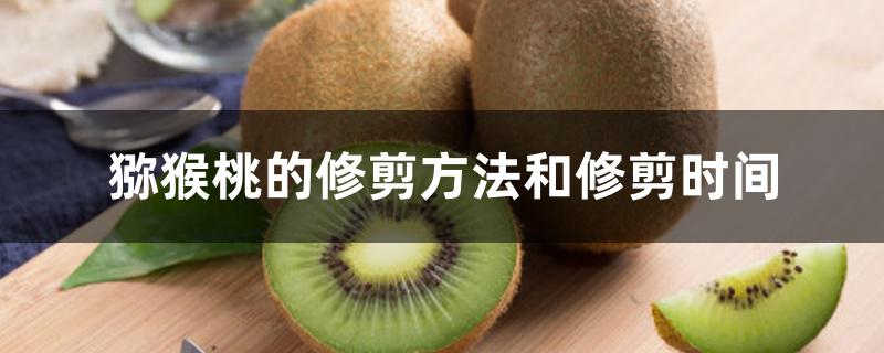 猕猴桃的修剪方法和修剪时间 猕猴桃的修剪方法和修剪时间
