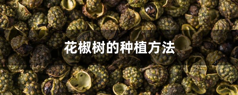 花椒树的种植方法 花椒树的种植方法