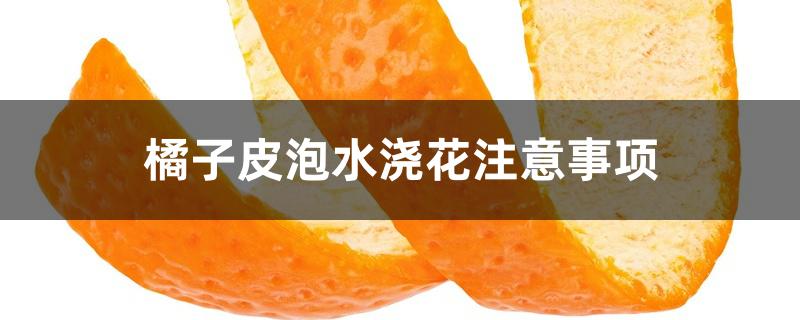 橘子皮泡水浇花注意事项 橘子皮泡水浇花注意事项