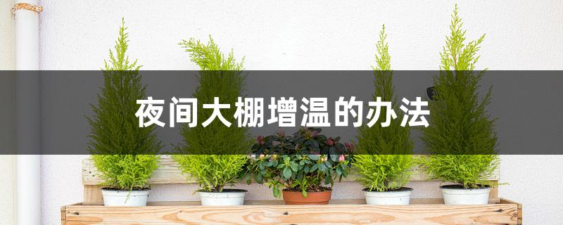 夜间大棚增温的办法 夜间大棚增温的办法