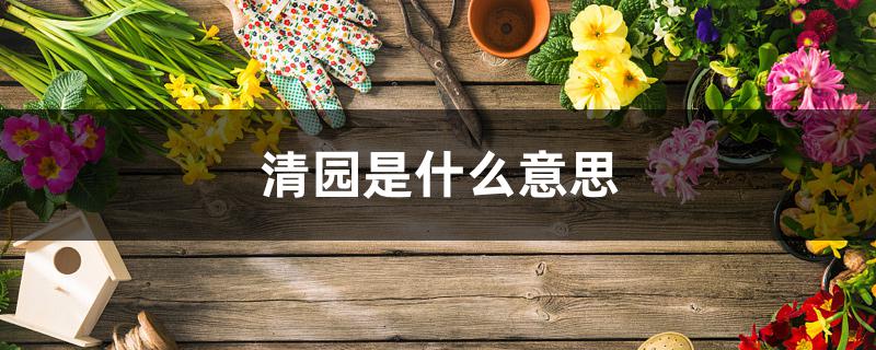清园是什么意思 清园是什么意思