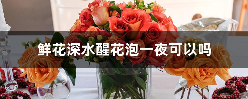 鲜花深水醒花泡一夜可以吗