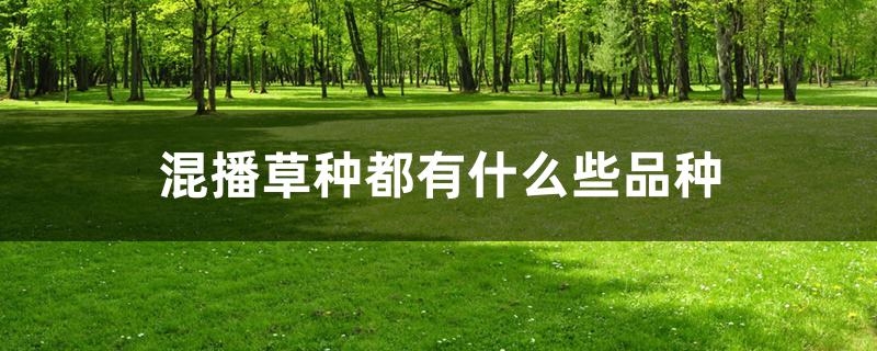 混播草种都有什么些品种 混播草种都有什么些品种