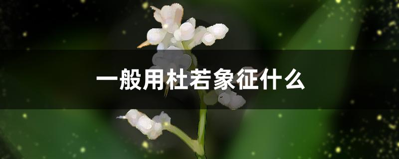 一般用杜若象征什么 一般用杜若象征什么