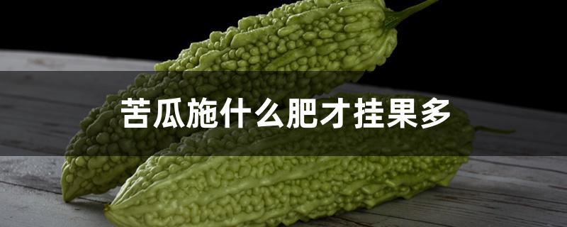 苦瓜施什么肥才挂果多 苦瓜施什么肥才挂果多