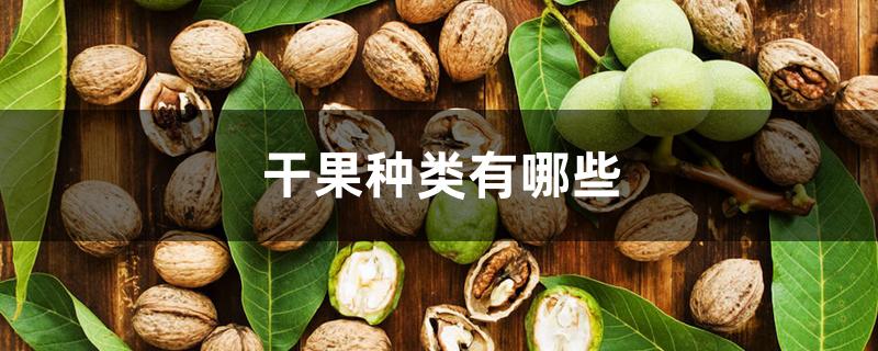 干果种类有哪些 干果种类有哪些