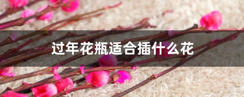 过年花瓶适合插什么花 过年花瓶适合插什么花